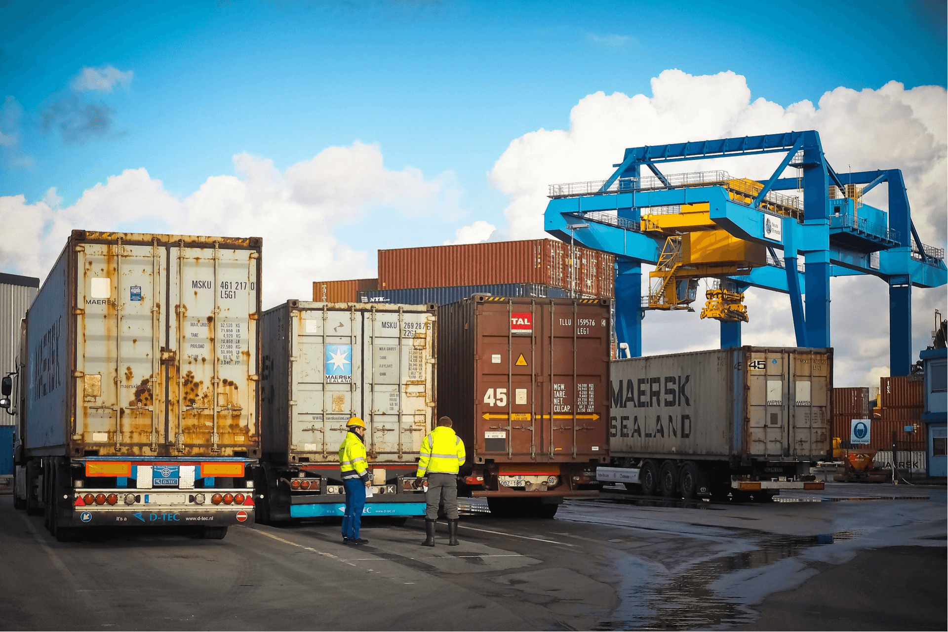 How International Couriers Handle Custom Regulations?